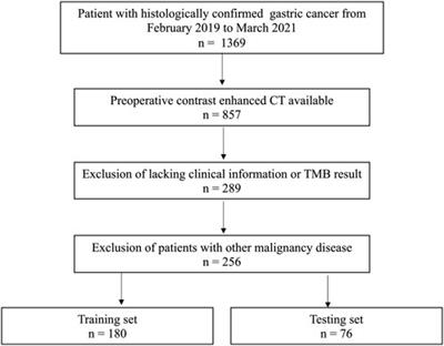 A machine learning-based radiomics model for prediction of tumor mutation burden in gastric cancer